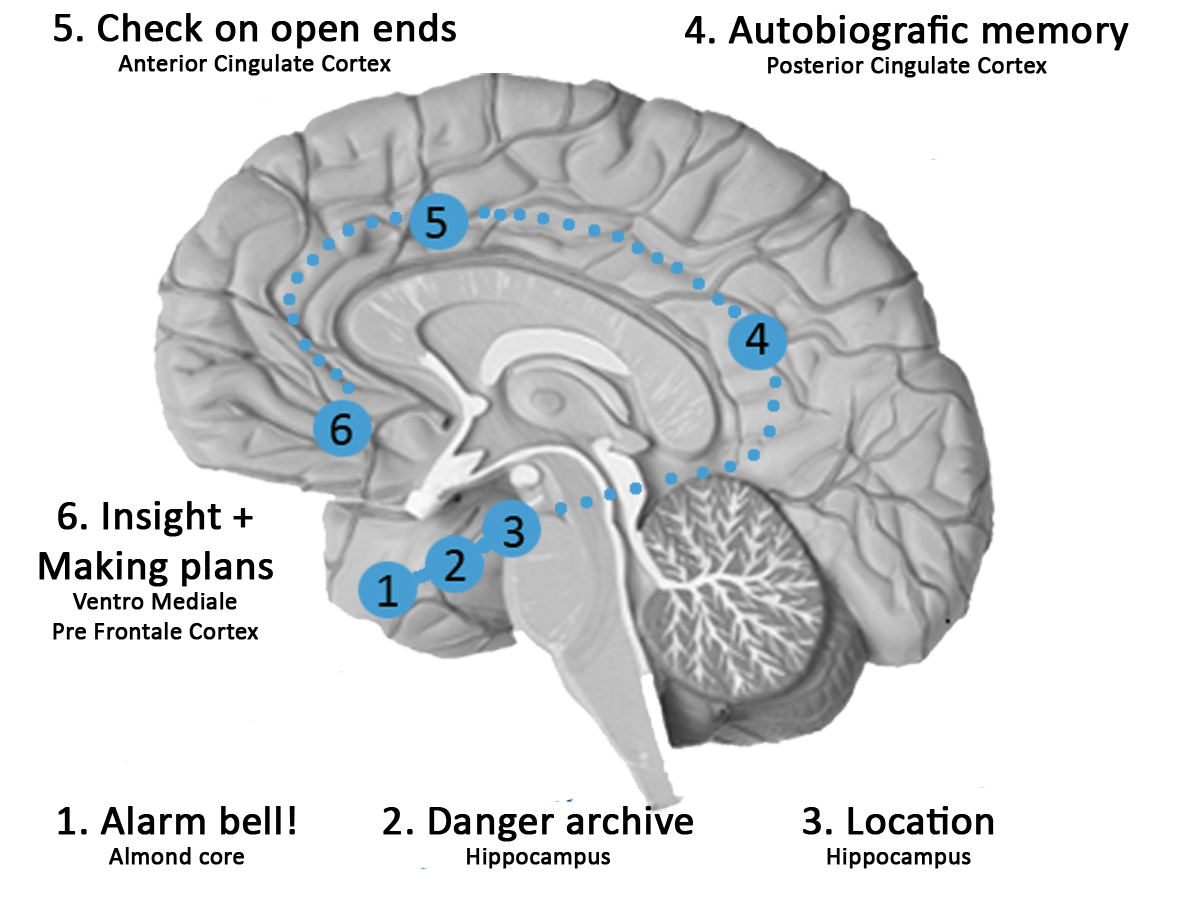 Risk understanding (part 3) - Brain Based Safety